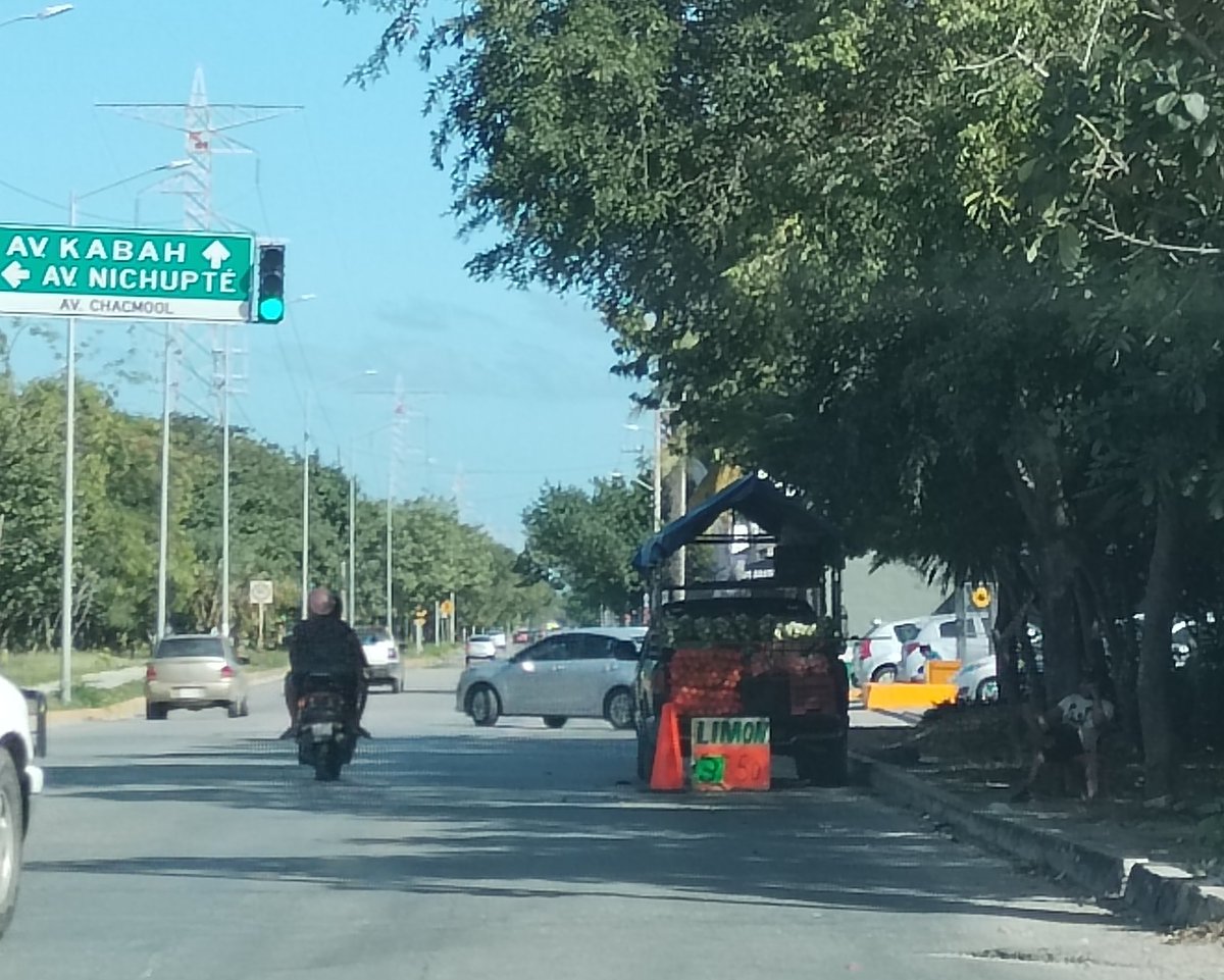 Vigia Ciudadano tweet media