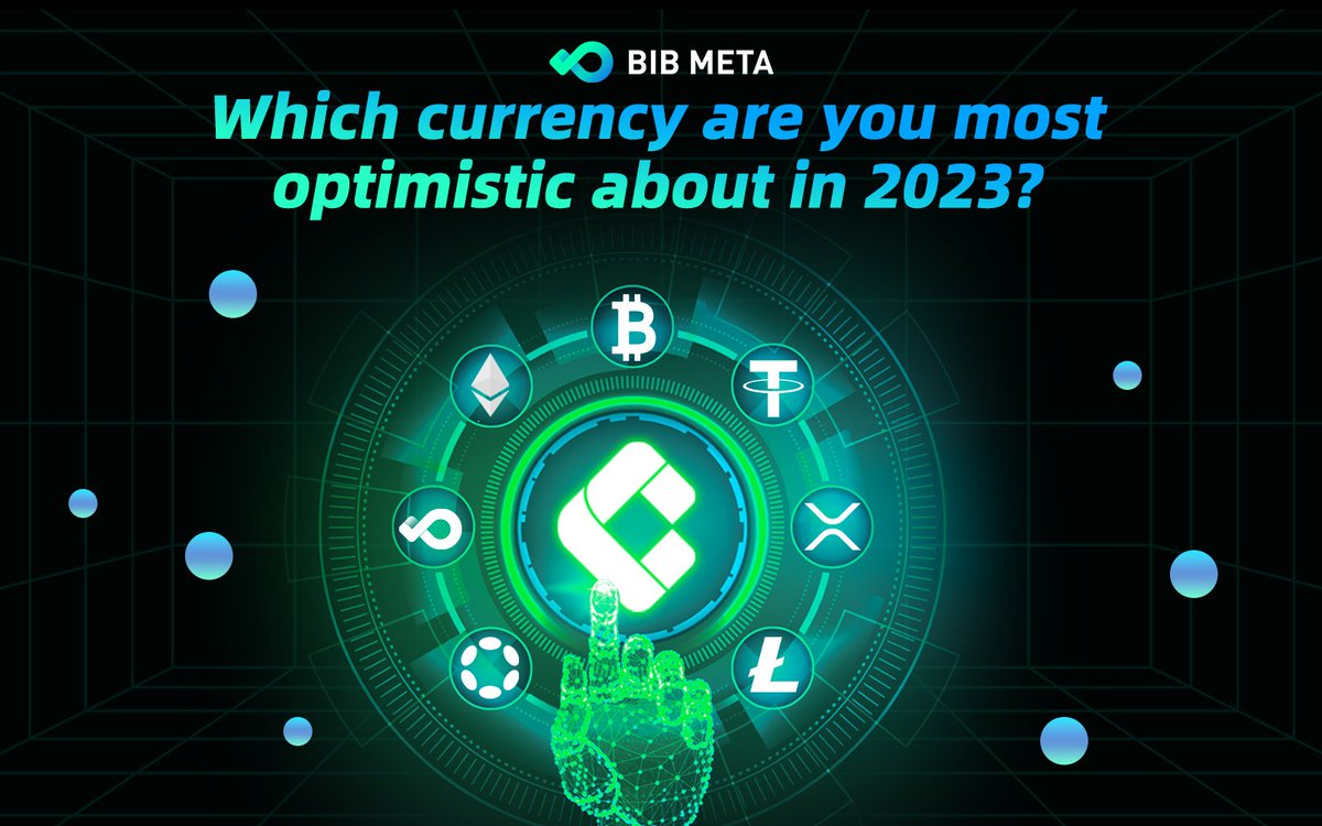 BIB META tweet media