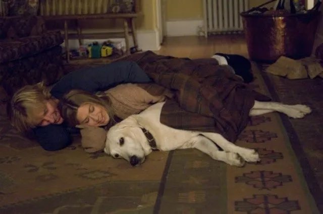 marisgmt's tweet photo. Mi trauma cinematográfico https://t.co/CpQkEQXNG3