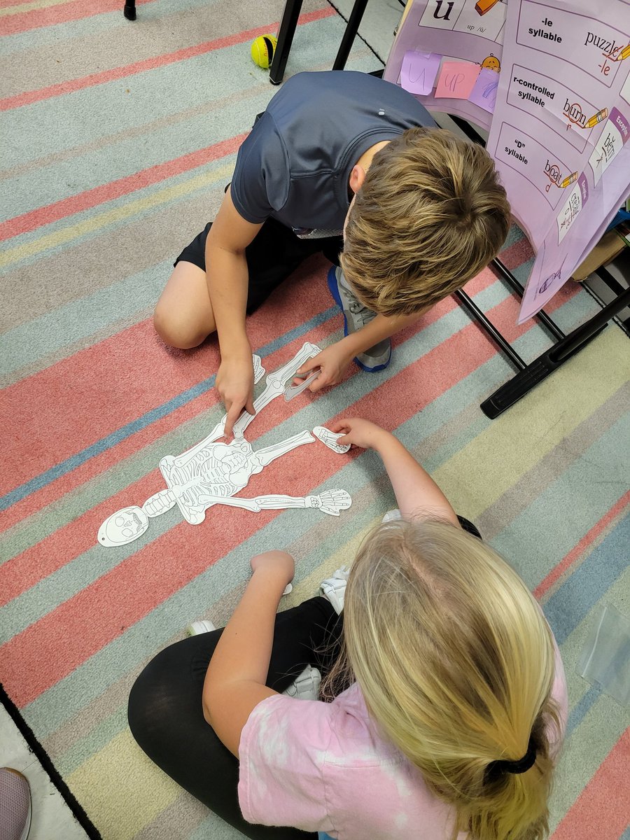 Putting together Mr. Bones today. Getting ready to "dissect" owl pellets tomorrow.