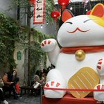 ベトナムにはあった!旧正月の準備中のベトナムは「ねこ年」がきます