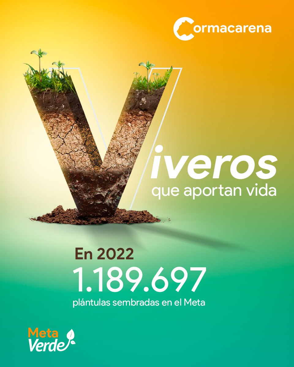 CORMACARENA's tweet photo. Los 6 viveros de Cormacarena ubicados en San Juan de Arama, La Macarena, Puerto López, Mapiripán, Puerto Rico y Villavicencio siguen germinado plantas para avanzar en la #MetaVerde
Este año tenemos como propósito producir más de 1.500.000 plántulas nativas para todo el Meta 🌱. https://t.co/lqCjEPsrPL