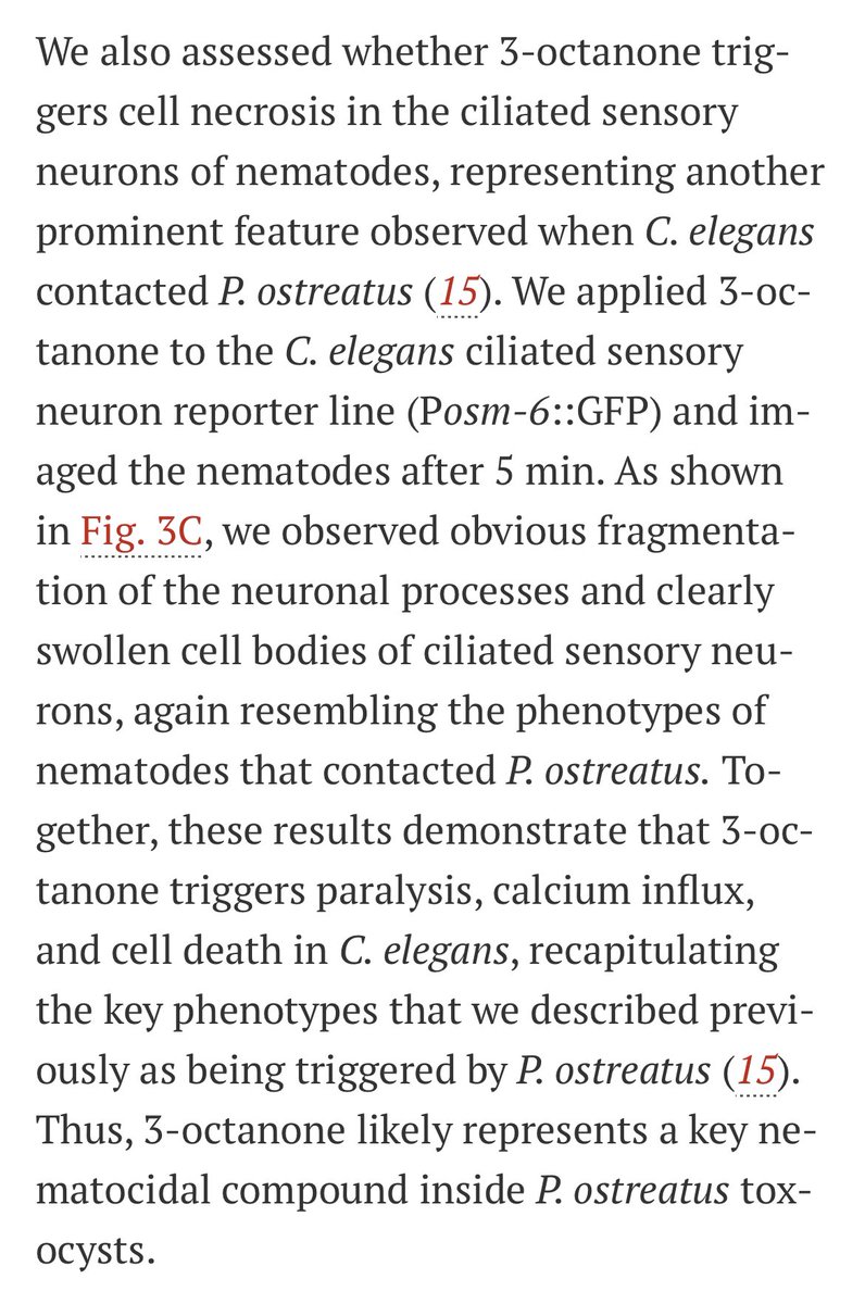 Joy A. Franco, PhD tweet media