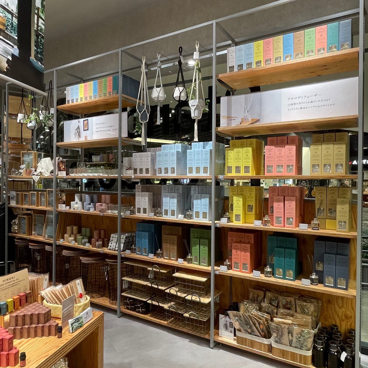 新店情報】 ✨本日OPEN『Standard Products』✨ SNS担当、昨日のプレ