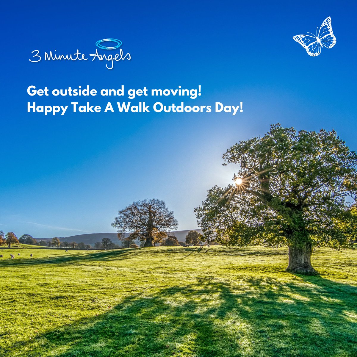 3MinuteAngels's tweet photo. Breathe some fresh air today. Happy Take A Walk Outdoors Day!
#Takeawalkoutdoorsday #walk #outdoors #exercise #healthybody #health #getmoving #walkoutdoors #nature #3MinuteAngels #HaloMassage #chill #relax #FeelDivine #DivineState https://t.co/HKlobp2PwY