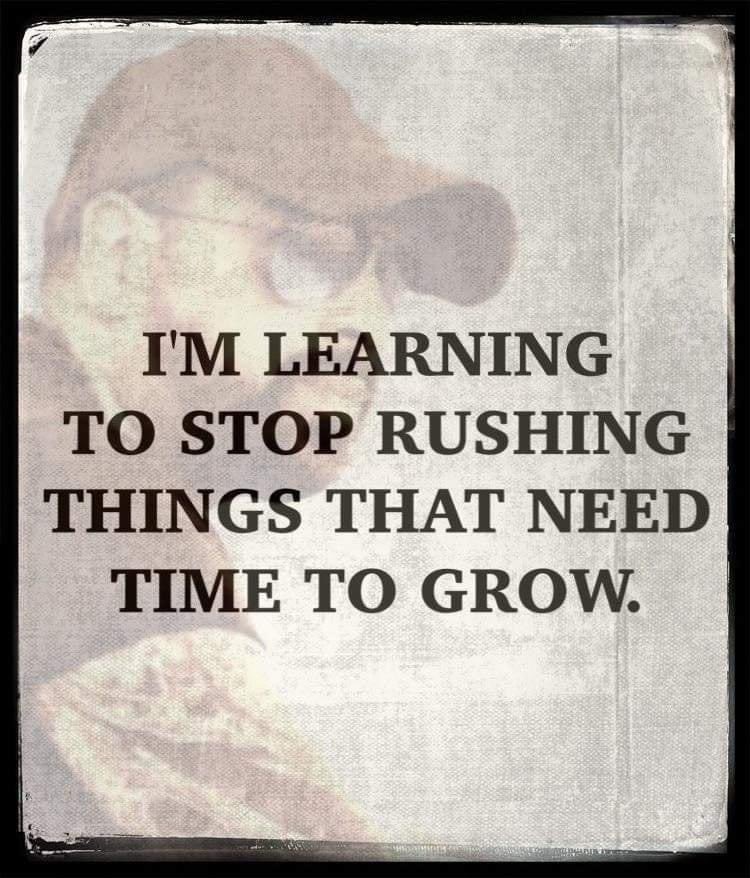LEADERSHIP LESSON - Some days you MUST remind yourself that it’s okay to Be QUICK but NEVER in a hurry. Find JOY in your JOURNEY and use every EXPERIENCE as a brick on your ROAD forward. Realization of Hopes and Dreams requires Time. Keep pushing. Your Destiny can not be denied.