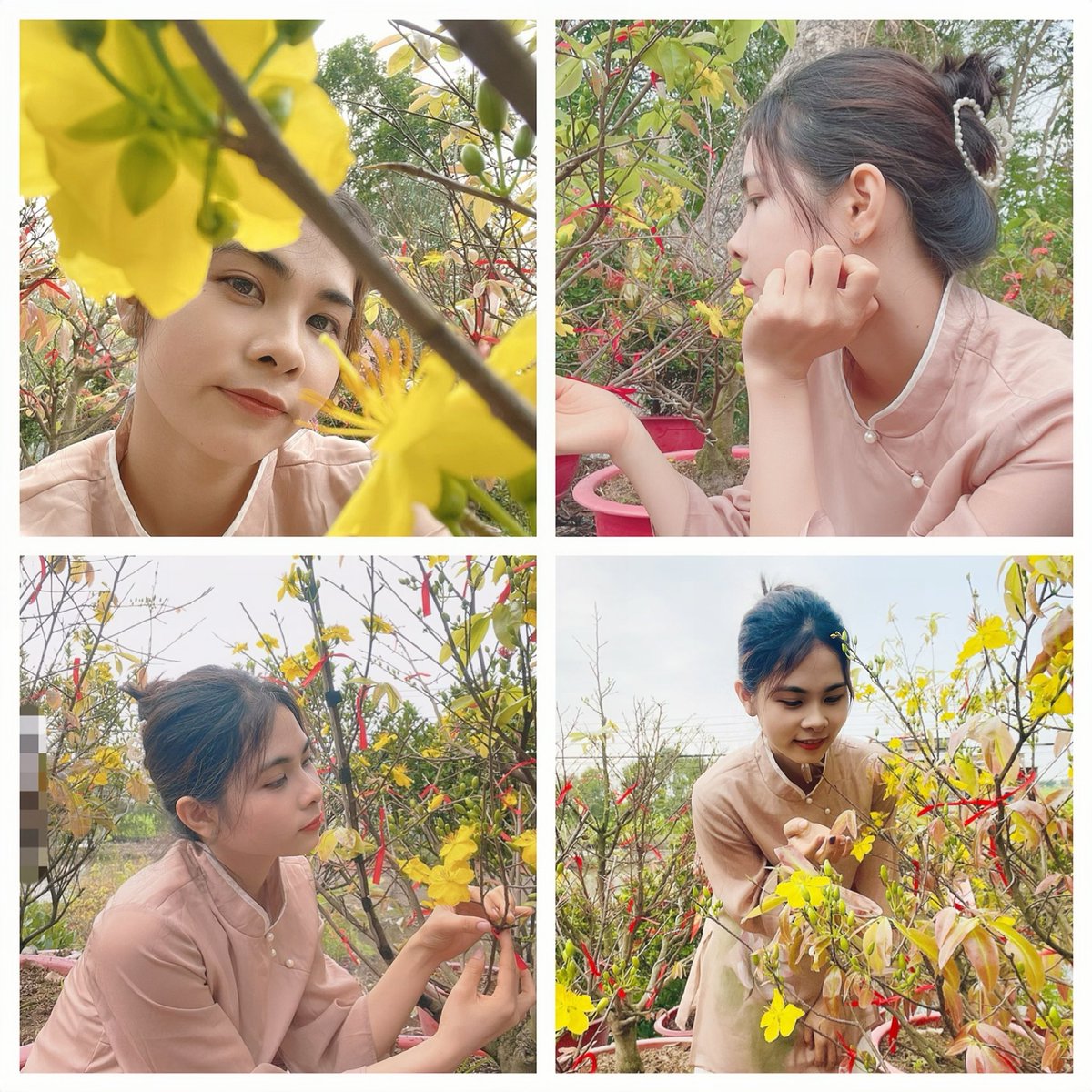 Tố Như tweet media