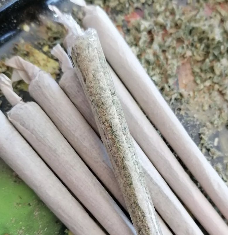 EvaRoger00's tweet photo. Let’s roll #strains #cannabisstrains #Strainspecific #massmedicalstrains #exoticstrains #marijuanastrains #hybridstrains #sativastrains #indicastrains #strainsreview420 #cannabisindustry
#growweed https://t.co/jfOIW0JOHF