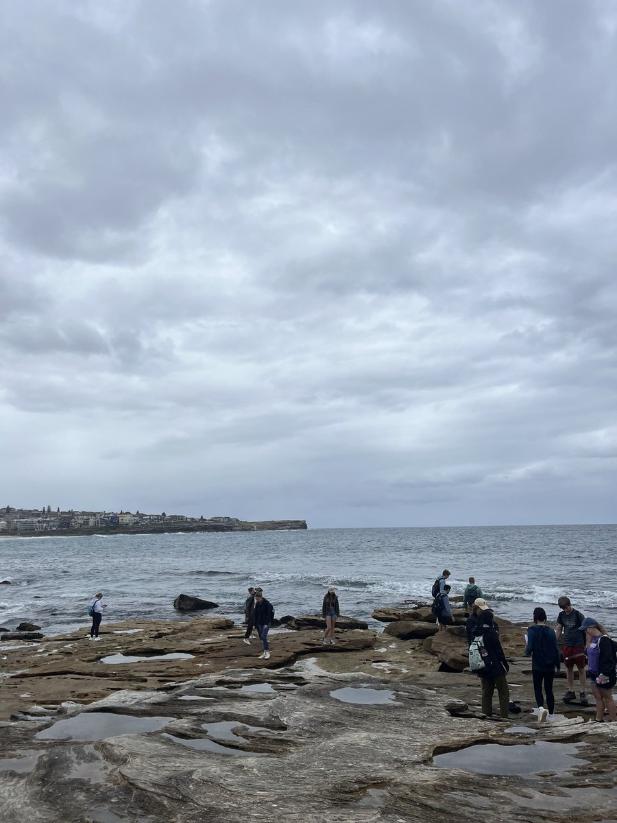 dailyoptimisim's tweet photo. Photos from our field trip today. In the lower bigger tide pools we saw starfish and crabs along with other crustaceans in these habits. I even saw a screw and trash on the main stretch of the beach which made me upset. It is important to keep our beaches clean! https://t.co/NQQq0znm41