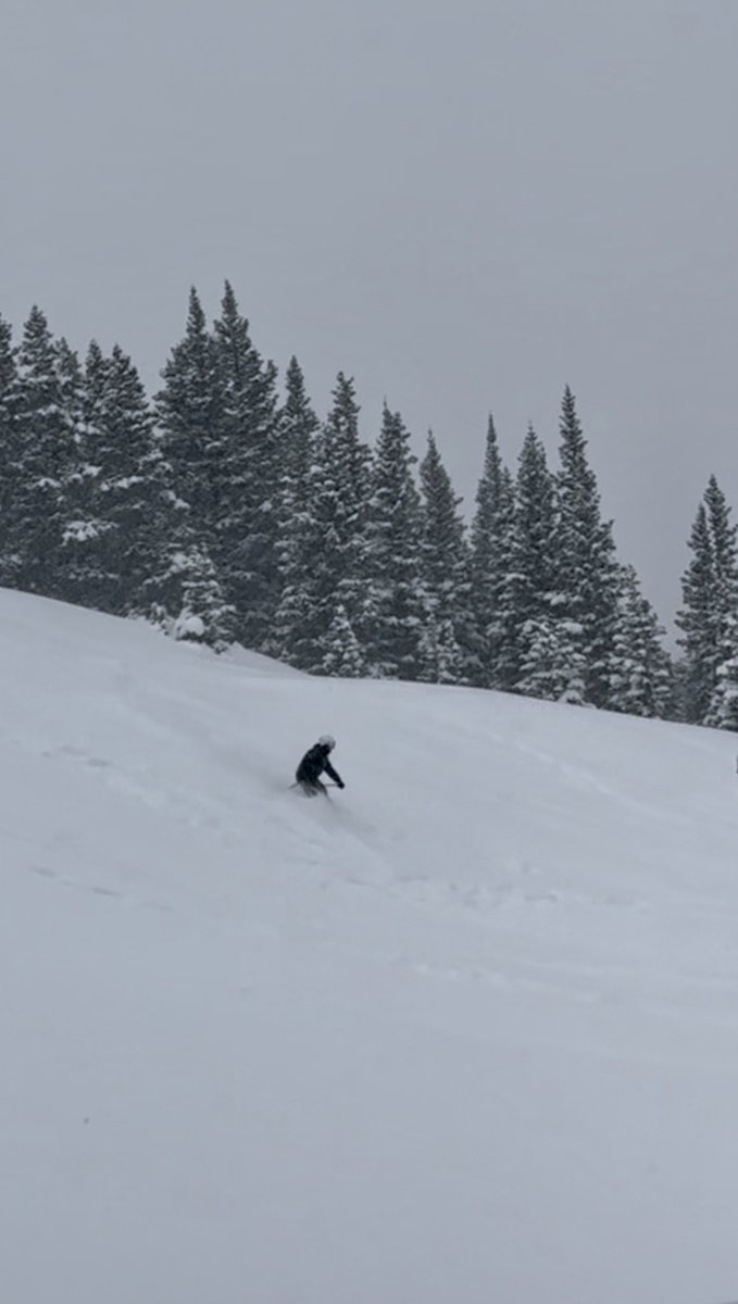 dashread's tweet photo. Amazing week @CopperMtn but make sure to watch your gear as I had my @BlackDiamond ski poles stolen which ruined the day and cut it short. They don’t have any place to lock up gear #skiing #skicolorado #coppermountain #ikonpass #ikon #stolenskigear #powderskiing #Colorado https://t.co/OaBWjFeoen