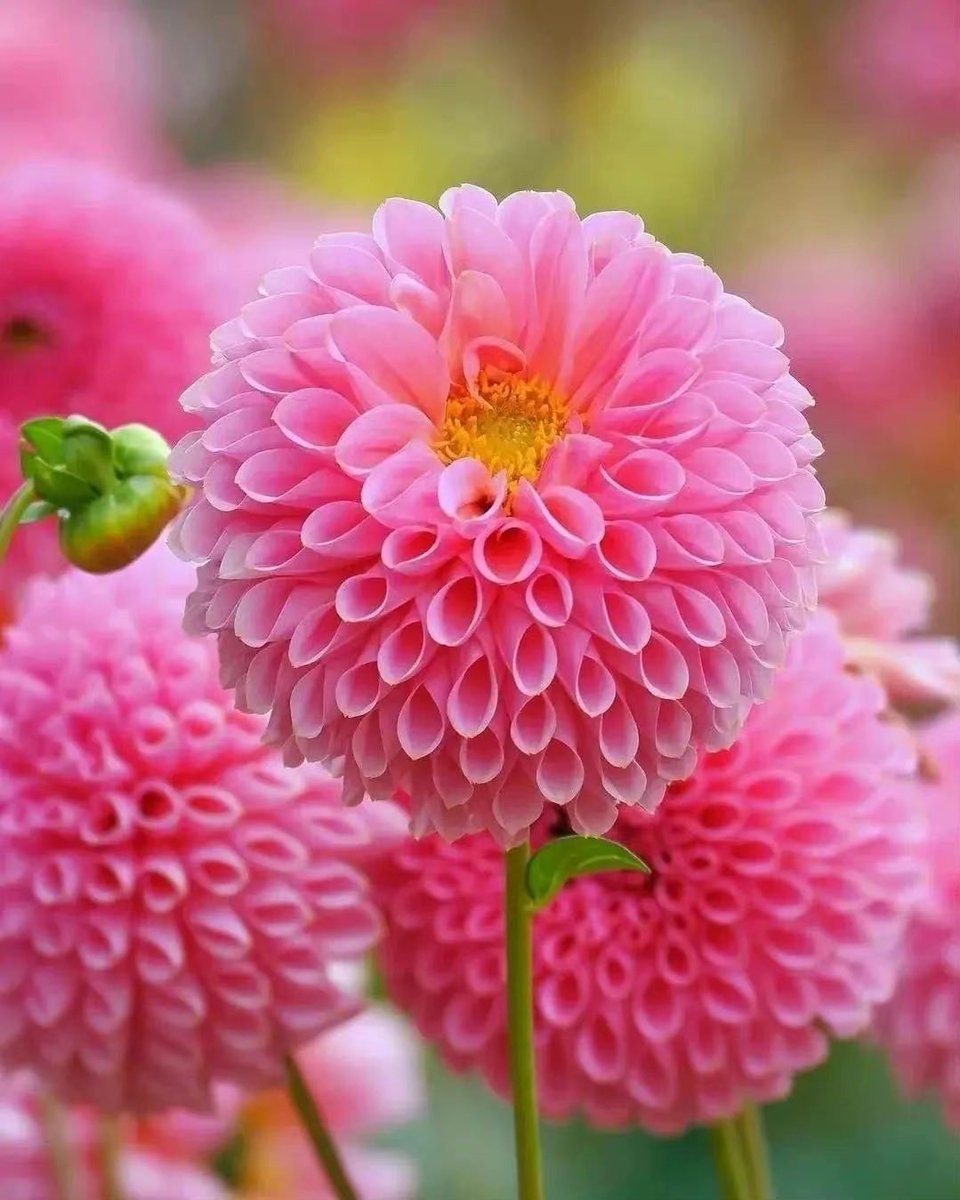 Elena (@elena192827) on Twitter photo 