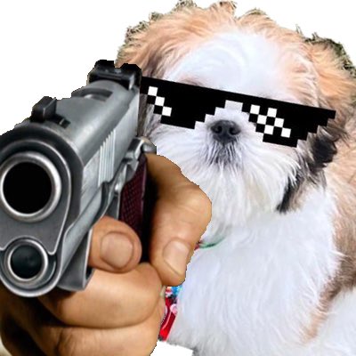 My lil boy woke up and choose violence #bobonft  #icp #icpeople #nfts #web3