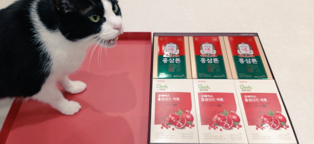 영상출판미디어에서 보내 주신 설 선물을 잘 받았습니다. 새해에는 보다 건강하게! 감사합니다. 야옹~