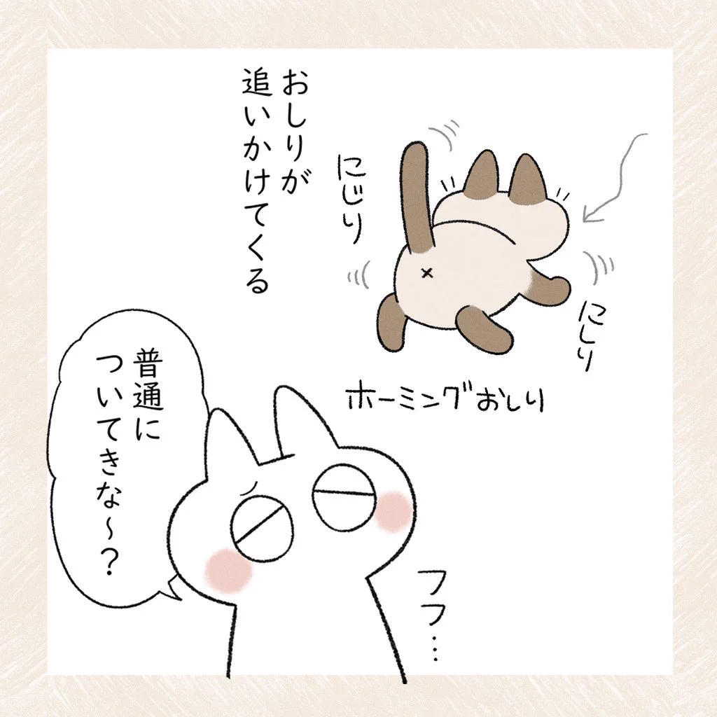 愛猫がおしりをくっつけて甘えているときに離れると･･･！とっても可愛くて癒される猫漫画！