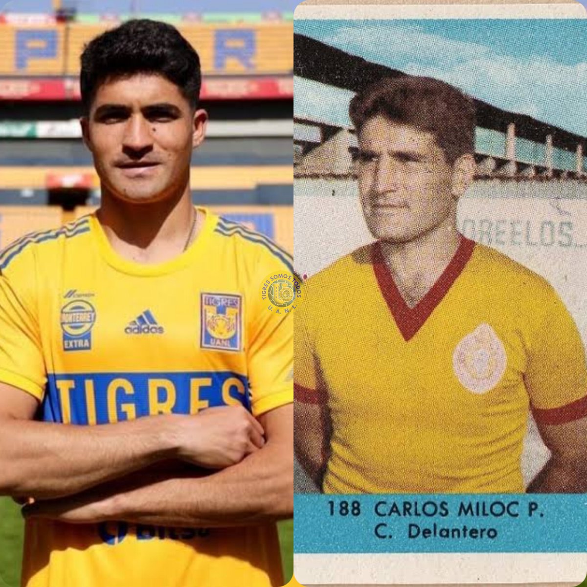 Que buena Vibra la verdad y se parece Mucho al Creador del #PerfilTigre 
Don Carlos Miloc Pelachi así es que mi Nico no te queda de otra que romperla en <a href="/TigresOficial/">Club Tigres 🐯</a> 
<a href="/SayonaraMiloc/">Sayonara Miloc</a> 
<a href="/migangelgarzam/">MAG</a>