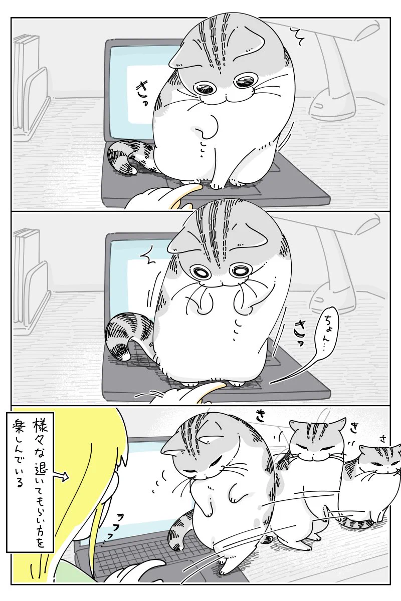 微笑ましいお話で癒されちゃう！猫に退いてもらうお話を描いた猫漫画！