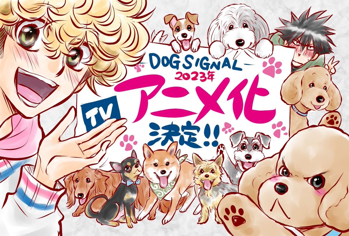 DOG SIGNAL（ドッグシグナル）【公式】 (@DogSignal) / X