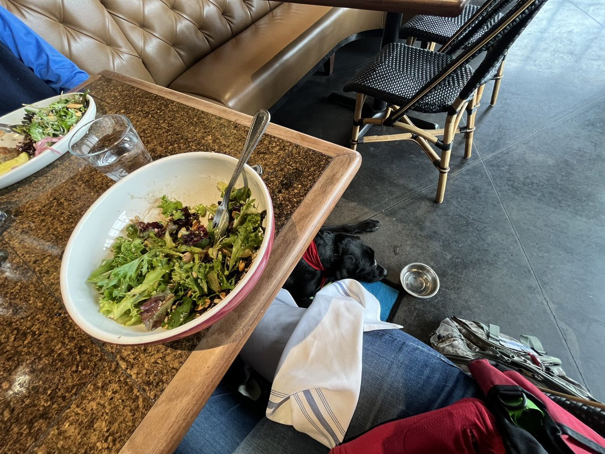 Training included a trip to a local restaurant today! <a href="/puppyjakefdn/">Puppy Jake Foundation</a> <a href="/adiintl/">Assistance Dogs International</a>