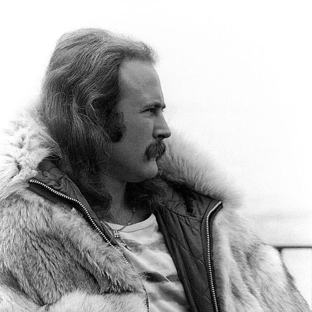 Michelle Harris tweet media