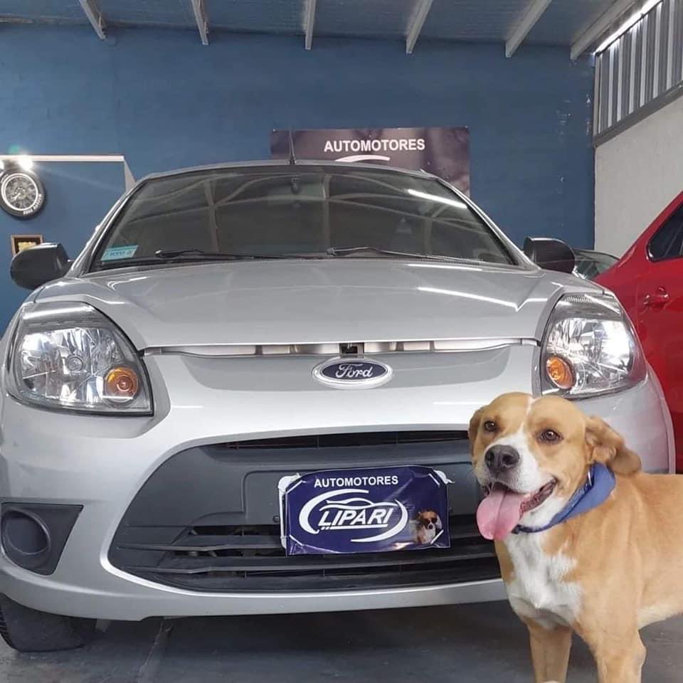 Te quiero mucho, perrito vendedor de autos ♥️