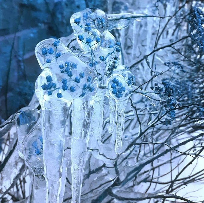 rockwater_'s tweet photo. The cold icy rain creates the most beautiful art in nature. #icicles #ice #nature #photography #art #winter #snow #frozen #GodMadeIt https://t.co/BY3WzM0NaD