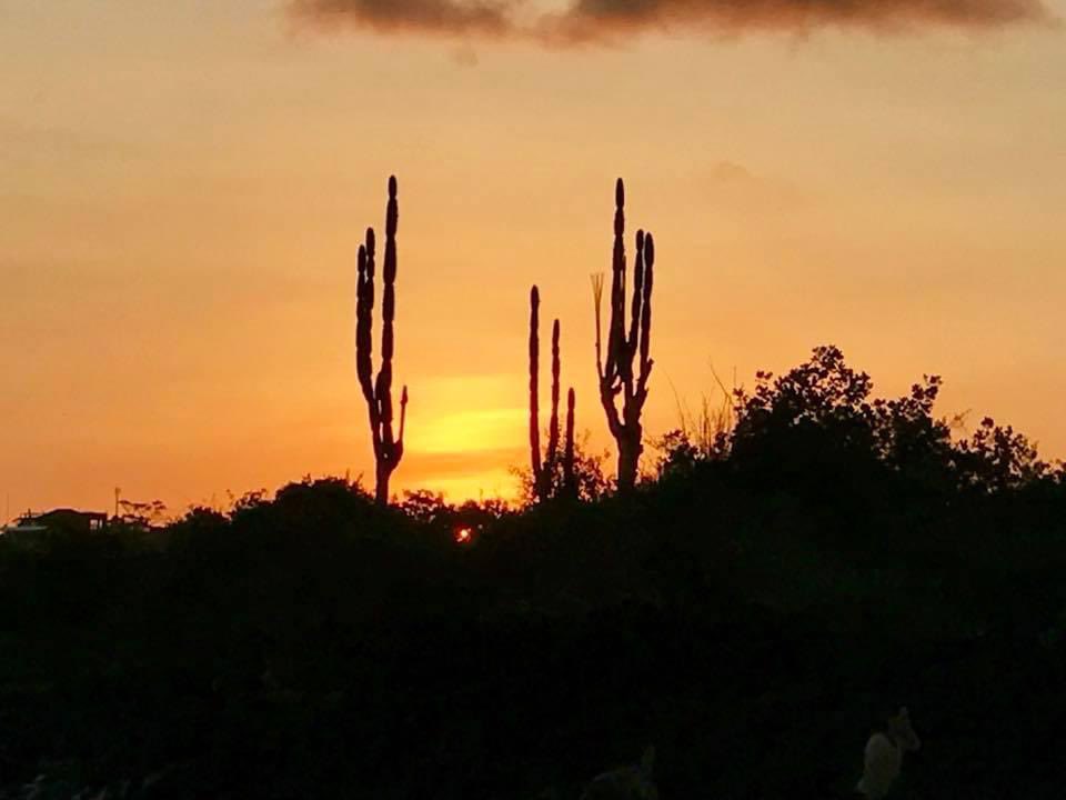 SixtoPorras's tweet photo. Éxito es mantener viva la esperanza en un mejor mañana. Es creer que mi vida está segura en las manos de Dios, es caminar detrás de lo que me inspira, es amar como nunca antes.
Somos exitosos cuando construimos un legado que impacta generaciones. Es personal, por eso no se rinda. https://t.co/5Y9qLpQkZ4