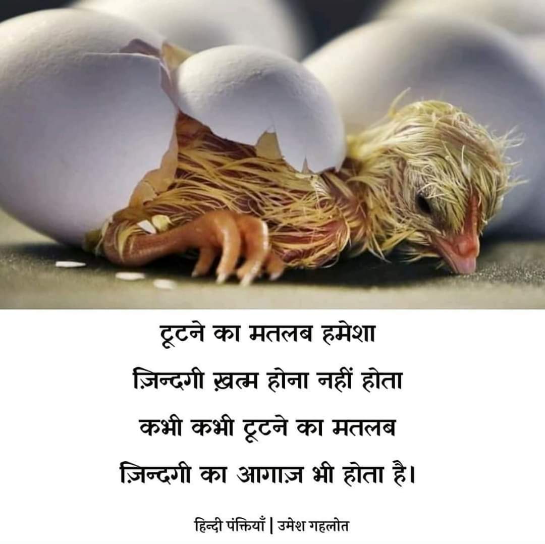 Hindi_panktiyan's tweet photo. कभी कभी टूटना भी... https://t.co/ZTuXL0lBxA