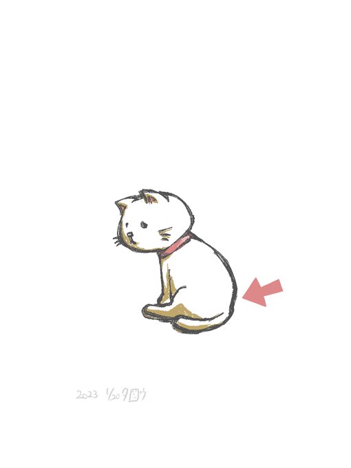 「猫 ふわふわ」のTwitter画像/イラスト(新着)｜5ページ目