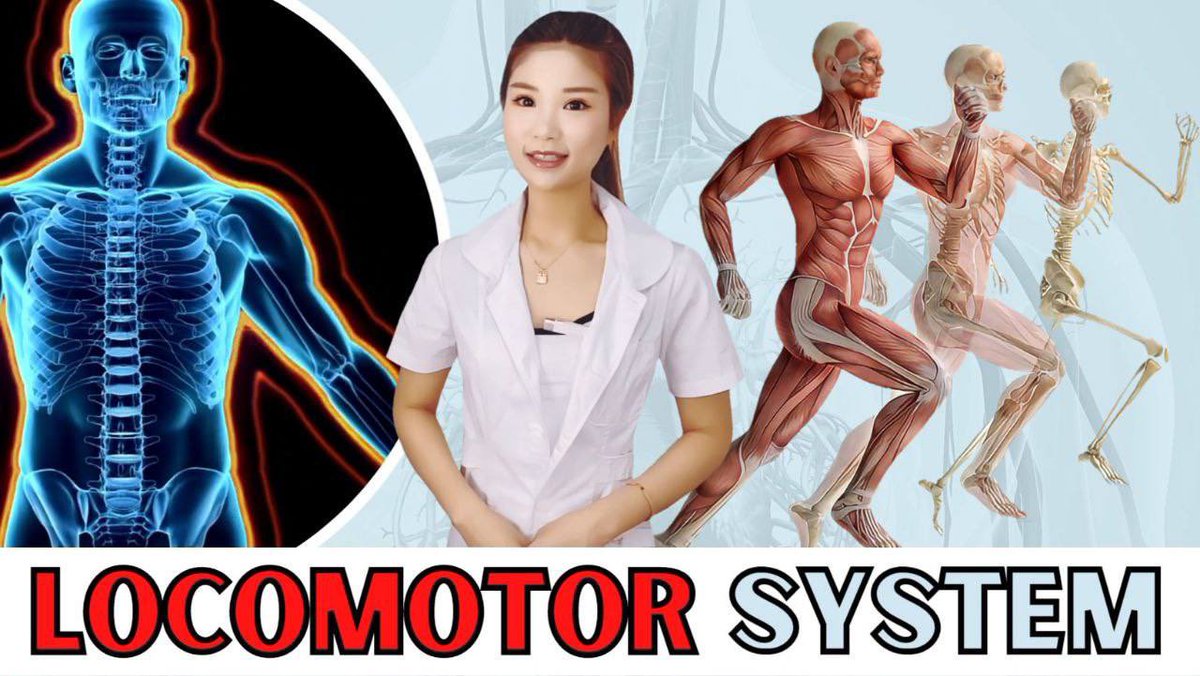 ata_learning's tweet photo. https://t.co/xa1PQlHnBs
Watch and Learn about Locomotor System in Chinese / Pre-Clinical Medical Chinese Lesson 2

#learnchinese     
#humanbody 
#locomotorsystem https://t.co/QqnPSgscV9