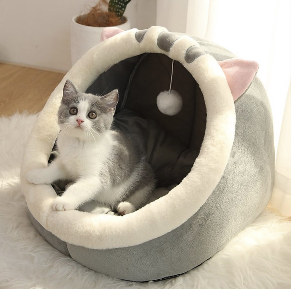 This is the cutes bed you will find www.wigglewiggletoys. #catstore #cats #catlovers #catsofinstagram #cat #catshop #catlover #kitty #of #cattoys #catstagram #instacat #catlife #meow #petstore #pets #kittens #catmom #catsoninstagram #gatos