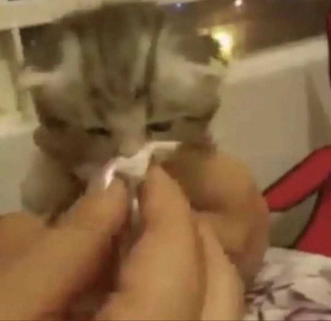 sniff sniff im ,sick