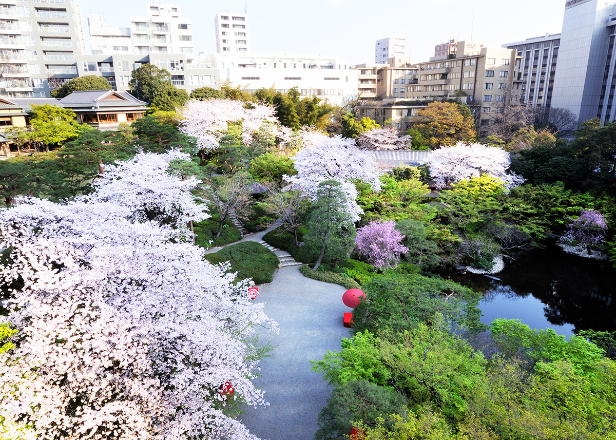 Tokyo_gov's tweet photo. In the heart of #Tokyo, there is a #JapaneseGarden dating back almost 400 years. Balancing basic #landscaping elements: trees, stones, water, and soil, the garden is a harmonious space offering enjoyment throughout the four seasons. https://t.co/FPM8WtN9XG