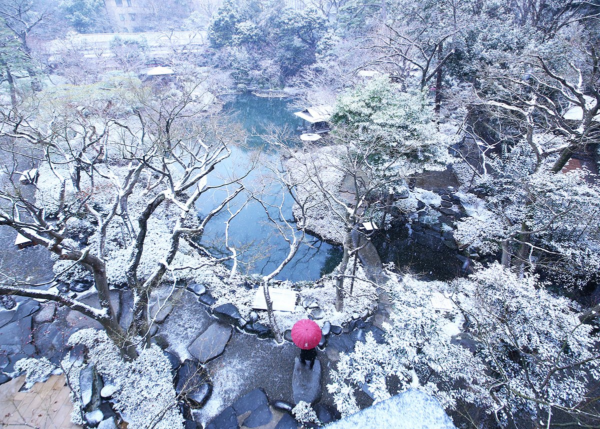 Tokyo_gov's tweet photo. In the heart of #Tokyo, there is a #JapaneseGarden dating back almost 400 years. Balancing basic #landscaping elements: trees, stones, water, and soil, the garden is a harmonious space offering enjoyment throughout the four seasons. https://t.co/FPM8WtN9XG
