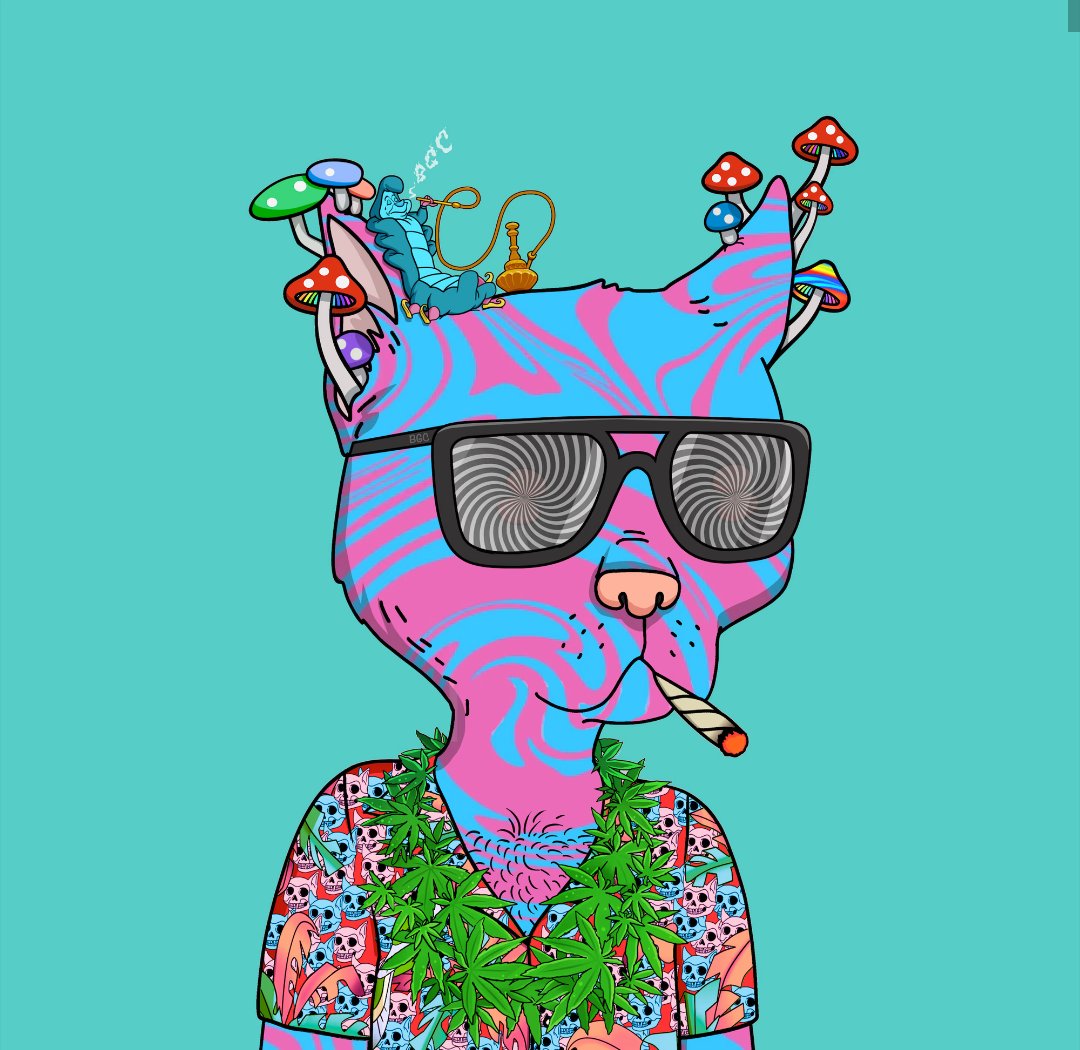 <a href="/gutternick_eth/">MrPhillyJawn 🫵😹</a> We need more <a href="/BoredGutterCats/">Bored Gutter Cats</a>