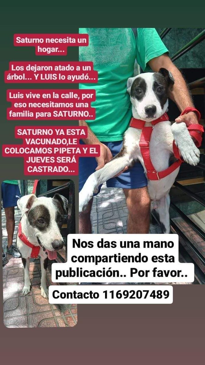 ComoNoAdorarlos's tweet photo. SOY SATURNO💙😢🙏🙏🙏 NECESITO FAMILIA ‼ Luis me cuida pero vive en la calle... 
https://t.co/hMpX95PbLz https://t.co/jJbsxGXepM