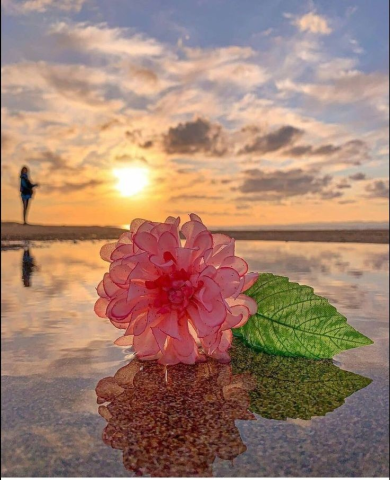 jltrjllc's tweet image. 😘 🫶#Pulsos 📢#Binaurales
Un #pulso #binaural es una 😜#ilusión 🦻#auditiva 🖼️#percibida cuando dos 🍃#ondas 🕹️#sinusoidales de tono puro, ambas con 🌊#frecuencias menores a ⭕#1500Hz. ⭕#528hz #MEJORADOR #ORGANISMO.
📱fb.watch/i9OcbKlzQW/
📱es.m.wikipedia.org/wiki/Pulsos_bi…