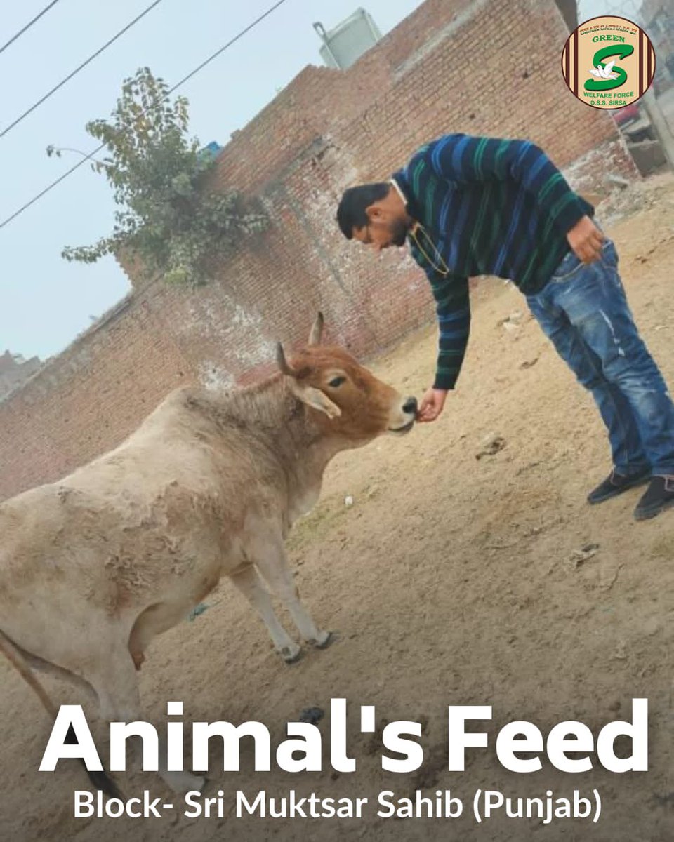 Shah Satnam Ji Green S Welfare Committee tweet media