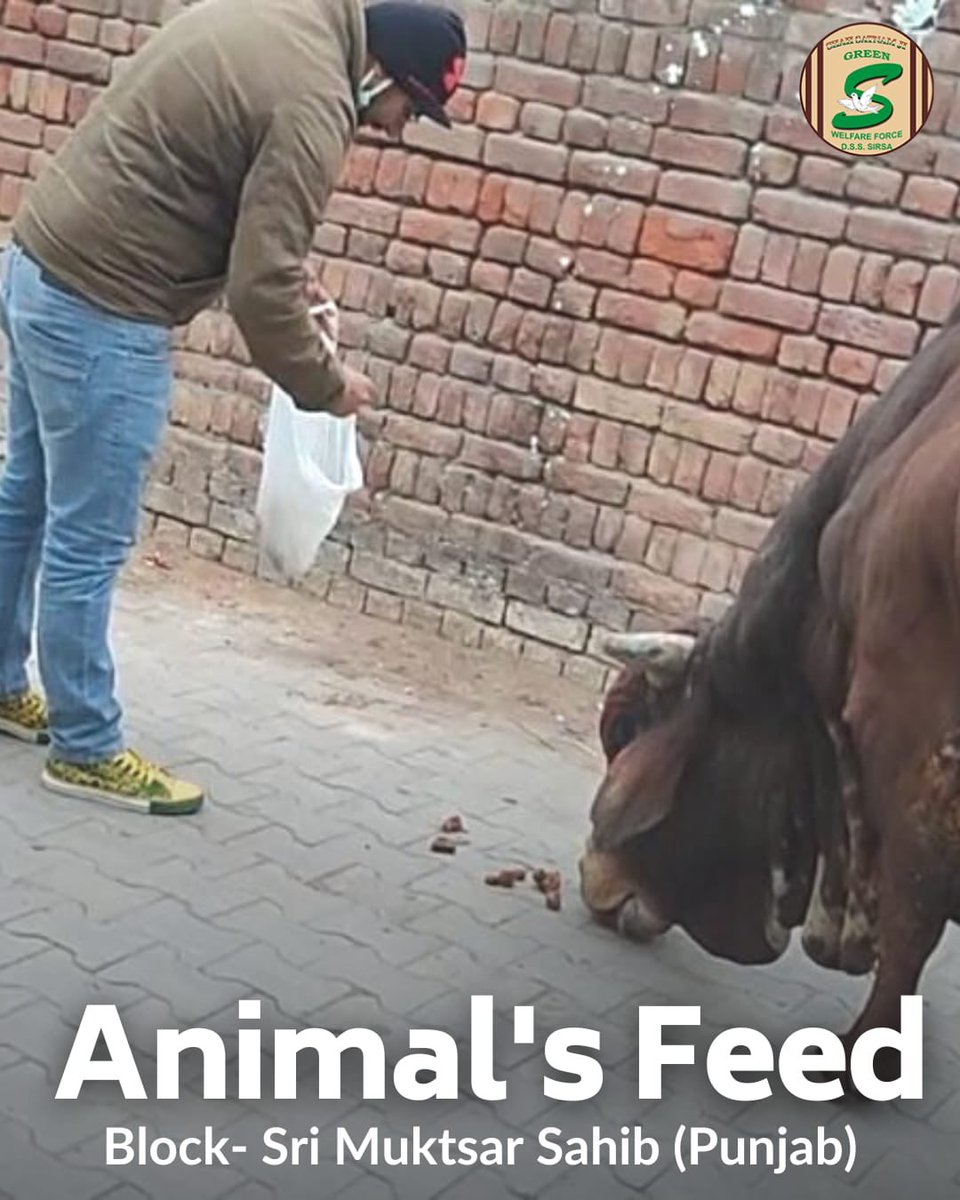 Shah Satnam Ji Green S Welfare Committee tweet media