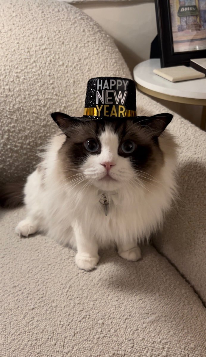 Keith Shannon tweet media