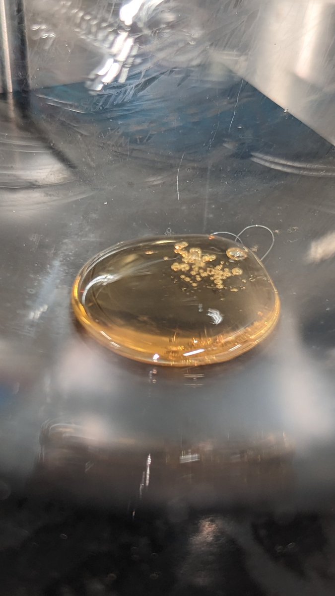 TempleGrower's tweet image. Disty for days. What kind tho? CBG is much more liquid, until it's not. Then it's wax. CBD is much greasier, doesn't hold its shape/coil even when cooled. THC though.. the real sticky icky. 5L of that golden groove juice per run, whoo wee.🛢️⚗️
#ShortPath #Distillation #2ndPass