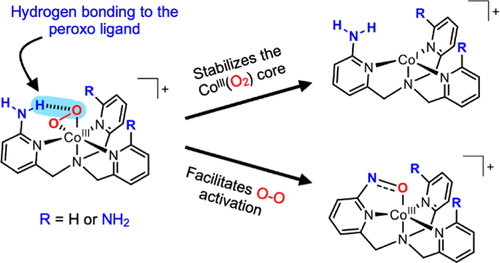 bhkenlo's tweet photo. Hydrogen Bonding Effect on the Oxygen Binding and Activation in Cobalt(III)-Peroxo Complexes https://t.co/RhfzHGuzBZ Roithová and co-workers @InorgChem #cobalt #peroxo #O2 #binding #activation #Hbond https://t.co/7hRHpTQKT7