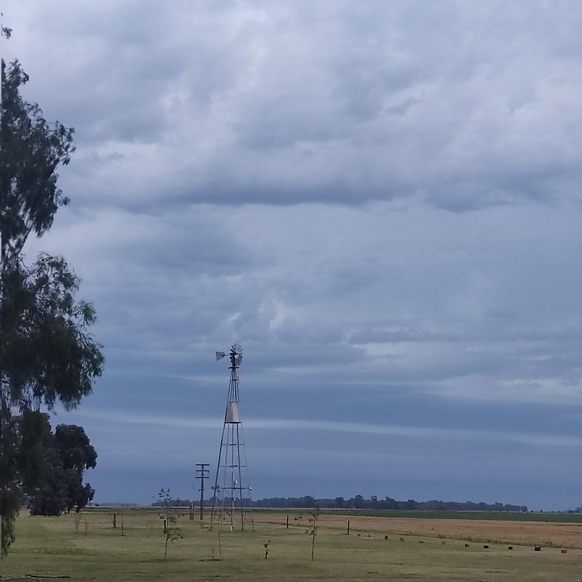 vientonortesa's tweet photo. Junten la ropa del cordel y encierren los poyos, yo se lo q les digo... por ahora viento del E fuerte, q esta atajando el frente, dónde afloje y se de vuelta, se pudre todo. 
Así se ven Este y Oeste. Cuando termine todo, se descorcha.
#NosVimos
#LluviasArg
#4V
#LaPerlaDelOeste https://t.co/zWIuXMvfYS