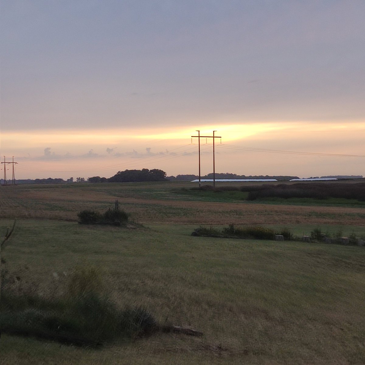vientonortesa's tweet photo. Junten la ropa del cordel y encierren los poyos, yo se lo q les digo... por ahora viento del E fuerte, q esta atajando el frente, dónde afloje y se de vuelta, se pudre todo. 
Así se ven Este y Oeste. Cuando termine todo, se descorcha.
#NosVimos
#LluviasArg
#4V
#LaPerlaDelOeste https://t.co/zWIuXMvfYS
