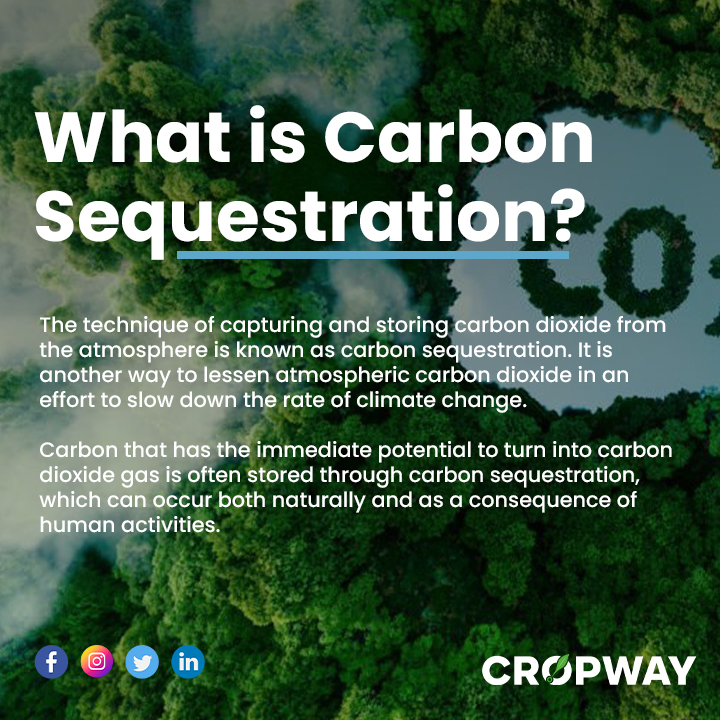 👩🏻‍🌾#Agriculture has the potential to make a significant contribution to #climatechange mitigation through #carbonsequestration. Swipe to know more about this process ➡️
#carbon #carbonfootprint #ClimateEmergency #AgTech   #carbonsink #technology #agritech #regenerativeagriculture