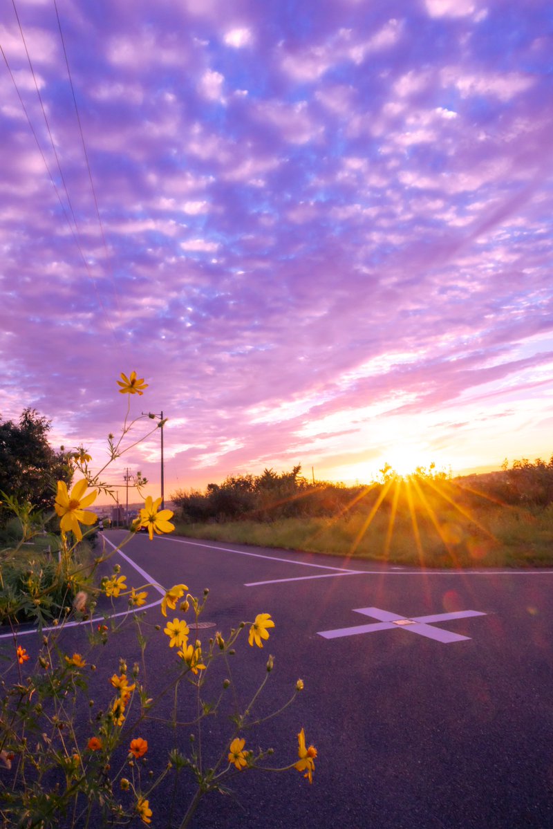 asagi_photo0921's tweet image. 夕焼け色の片思い。