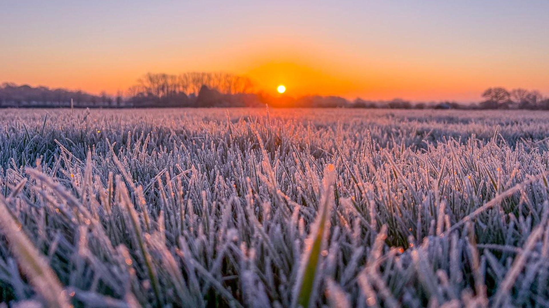 bbc-weather-on-twitter-sunrise-across-the-uk-thanks-to-our-bbc