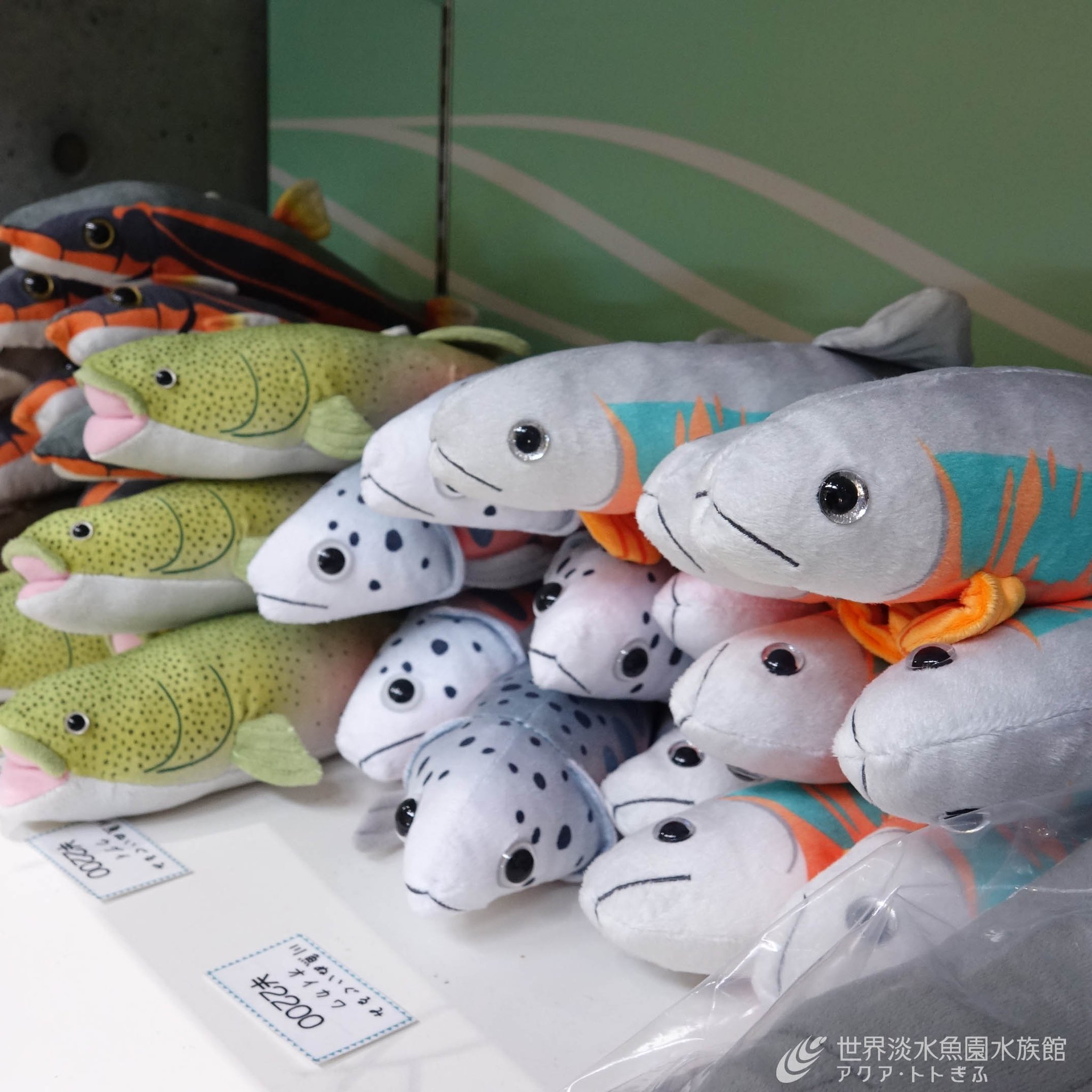 中古ぬいぐるみ プーウィン ぬいぐるみ 「FISH UPON づらい THE