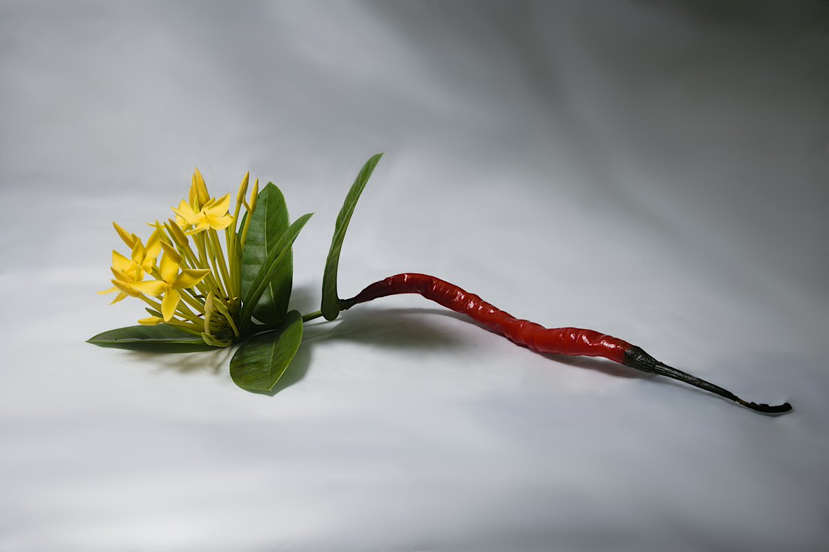 boringshooting's tweet photo. Cak Nun umur 23, artinya Mbah Fuad, Gus Muhaimin, Airi makan indomie pake cabe dan #ceritaserem nya itu loh :)). #photographer #photooftheday #follow #folloback #photography https://t.co/PDhCE3tnWD