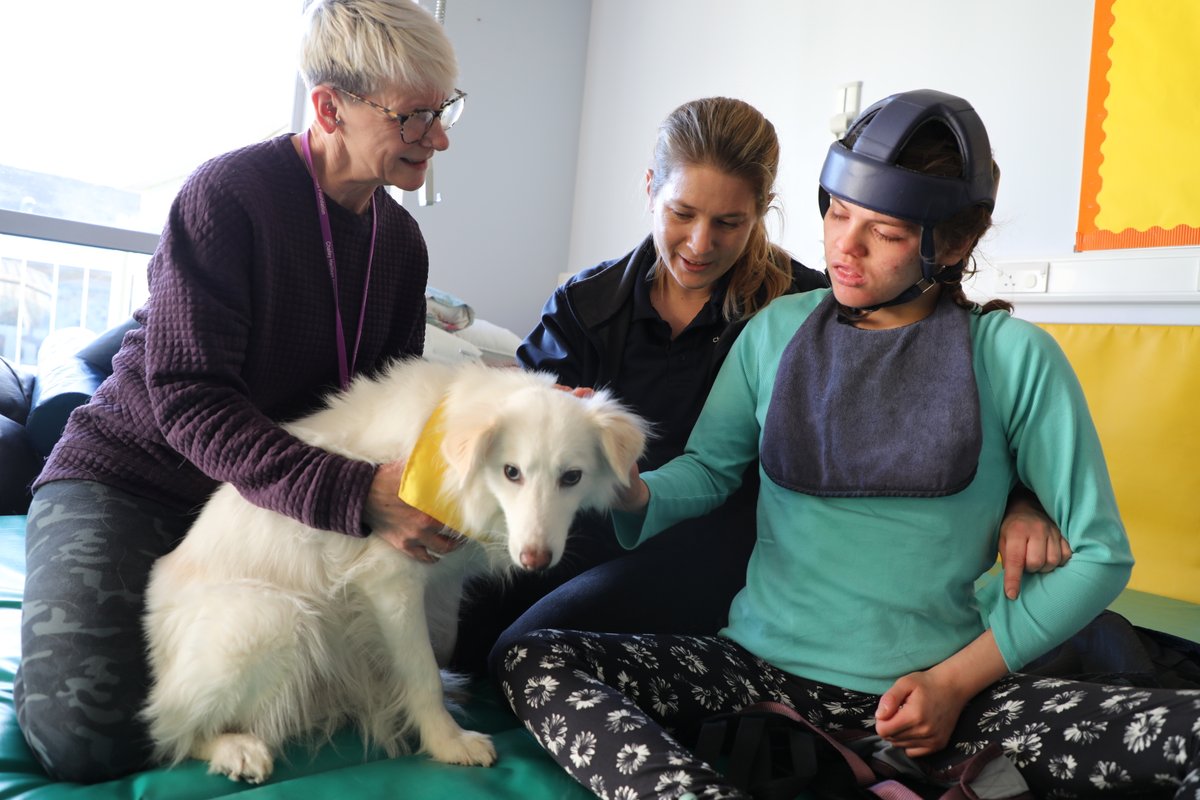 ChaileyHeritage's tweet photo. We were very excited to welcome Jean and Buddy to CHF yesterday for dog cuddles! 🐶

Buddy the therapy dog was very popular with our young people who reached out to touch his soft fur or enjoyed his calming presence. Thank you, Jean and Buddy; we look forward to seeing you soon. https://t.co/Sg3QdKq0kf