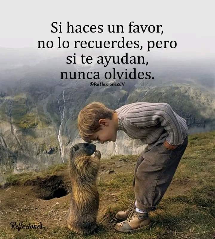 LilimarRodrigu5's tweet photo. https://t.co/LzOzRZLzSZ